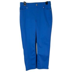 J. Jill Pants‎ Blue Ankle Cropped High-Rise Pull On in Size 6  EUC